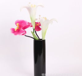 現(xiàn)代簡約陶瓷工藝品花瓶 價(jià)格、廠家與搭配指南