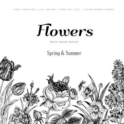 綻放藝術(shù)魅力 探索黑色手繪花卉背景矢量素材之美